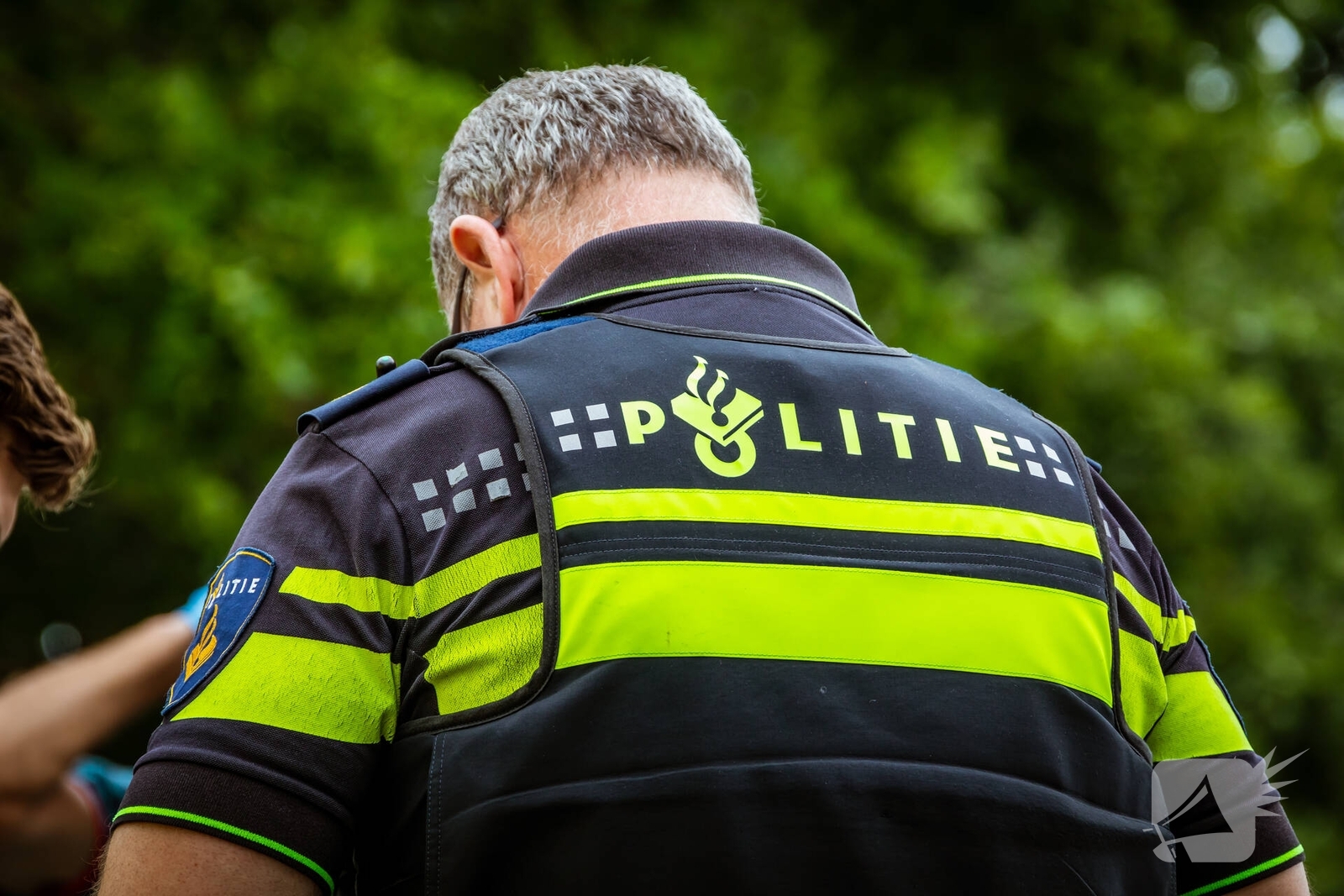 Automobilist raakt van de weg, Alddiel in Leeuwarden