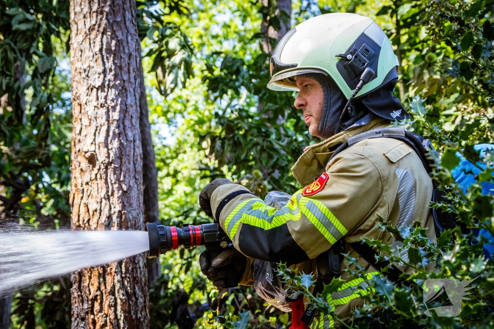 Nachtelijke autobrand geblust door brandweer, Kruizemuntstraat in Apeldoorn