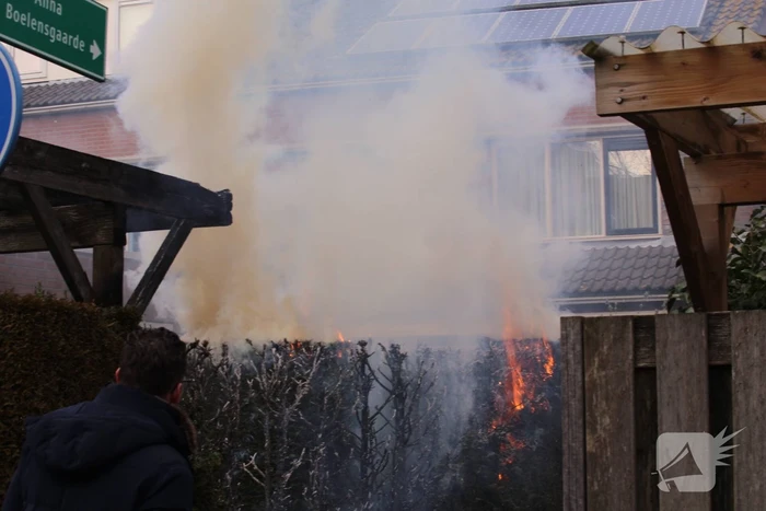 Brandweer blust brandende coniferenhaag