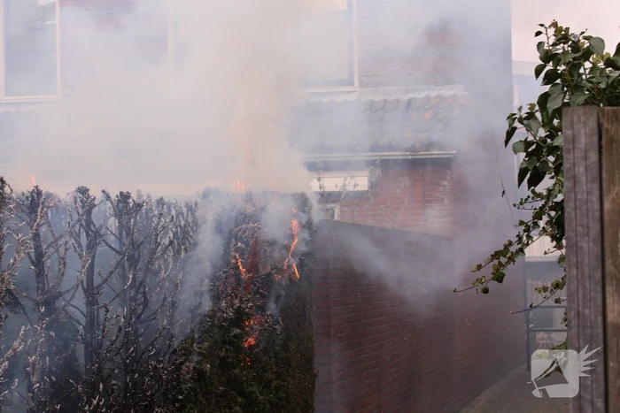 Brandweer blust brandende coniferenhaag