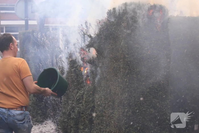 Brandweer blust brandende coniferenhaag