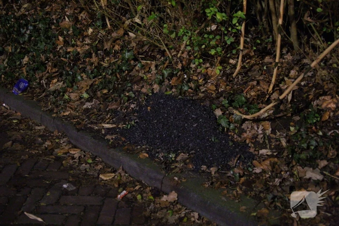 Schoorsteenbrand snel onder controle