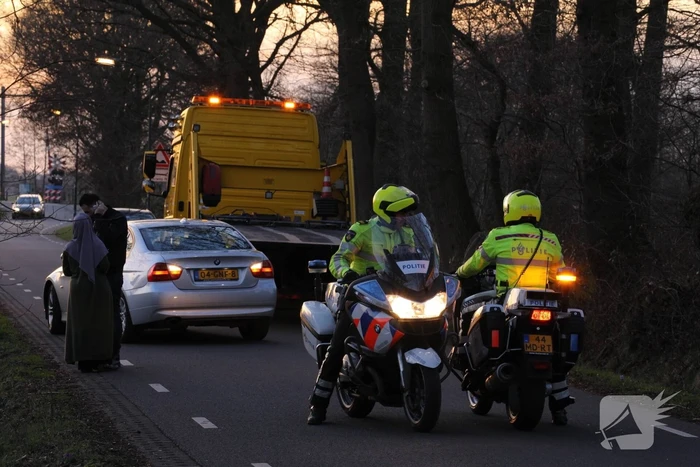 Auto beschadigd na aanrijding met ree