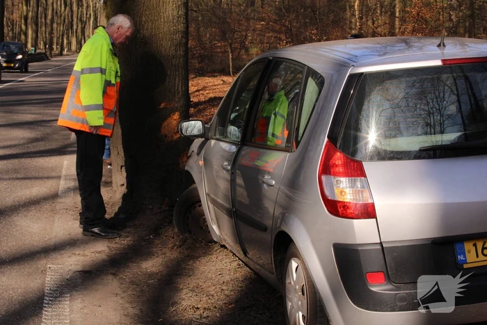 Auto tegen boom, bestuurder gewond