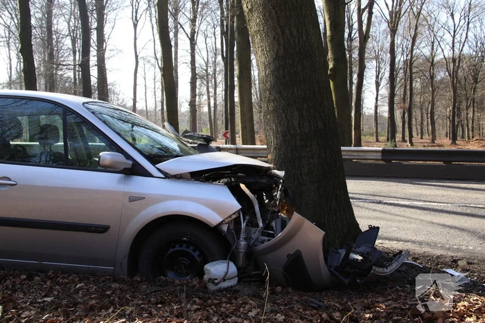 Auto tegen boom, bestuurder gewond