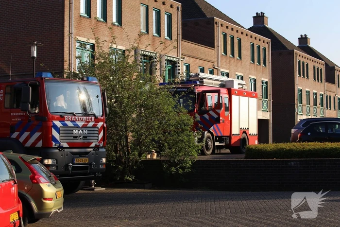 Brandweer bevrijdt ekster uit hoge boom