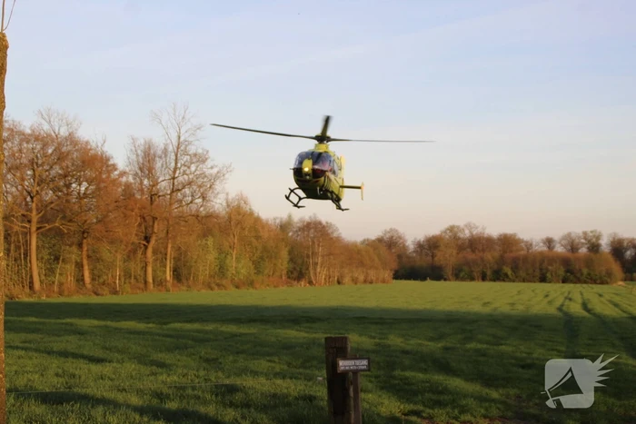 Motorrijder raakt zwaargewond na botsing tegen boom