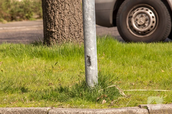 Automobilist botst tegen verkeerspaal