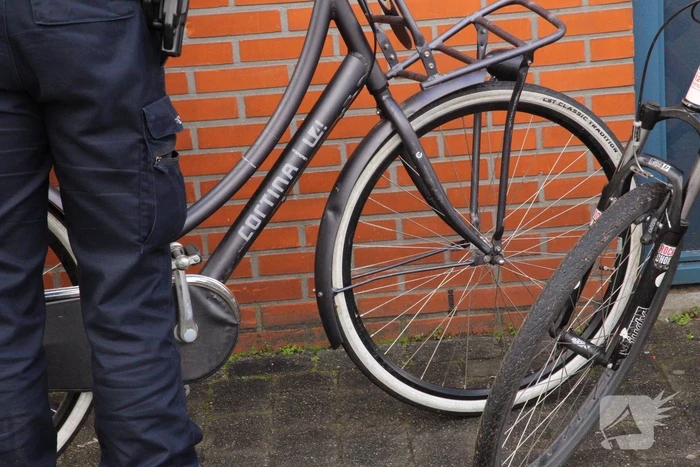 Wanhoopsdaad na pesterijen