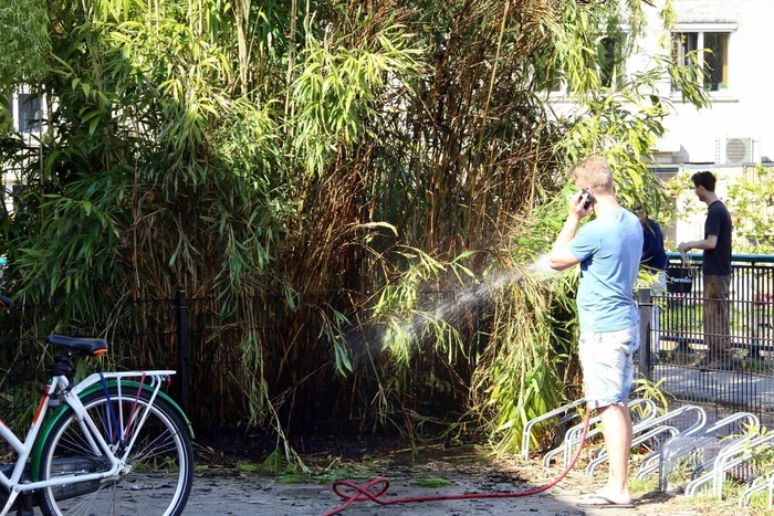 Buurtbewoners blussen brandend riet