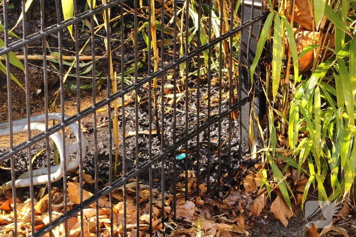 Buurtbewoners blussen brandend riet