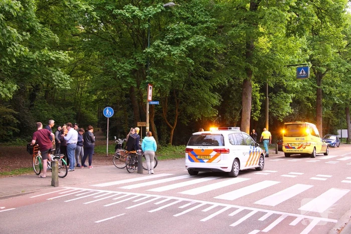Auto botst frontaal op boom