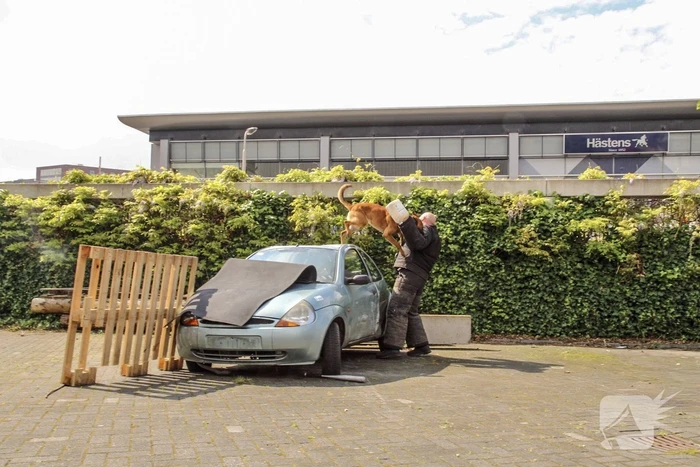 Burgemeester opent veilgheidsdag