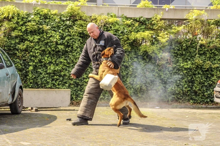 Burgemeester opent veilgheidsdag