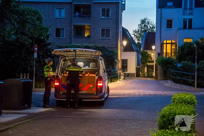 Nepwapen van kermis zorgde voor grote politiemacht