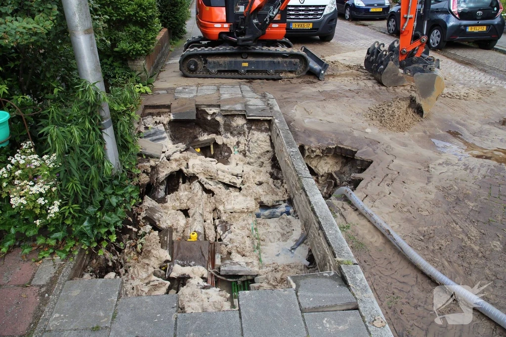 Hoogland
