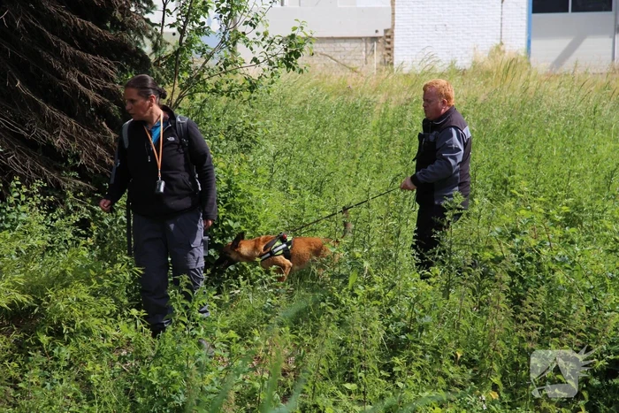 Grote zoektocht naar vermiste Savannah