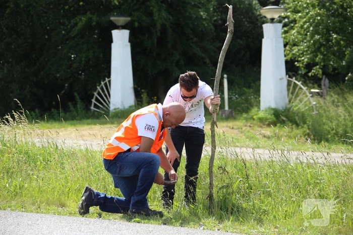 Grote zoektocht naar vermiste Savannah