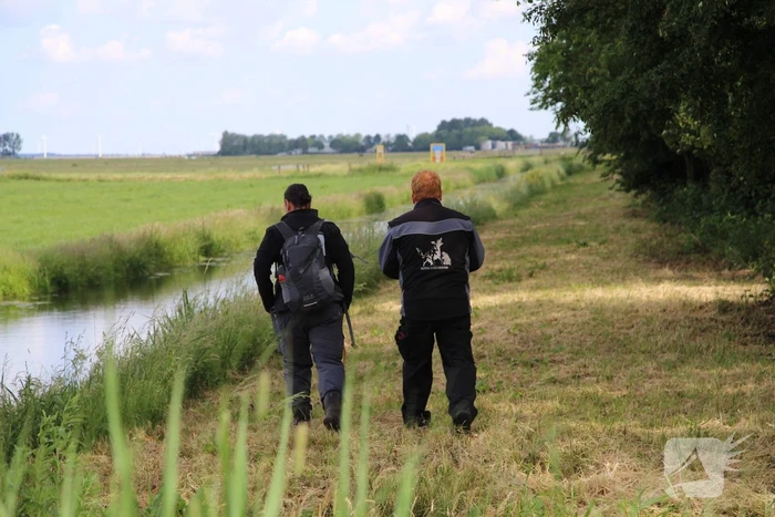 Grote zoektocht naar vermiste Savannah