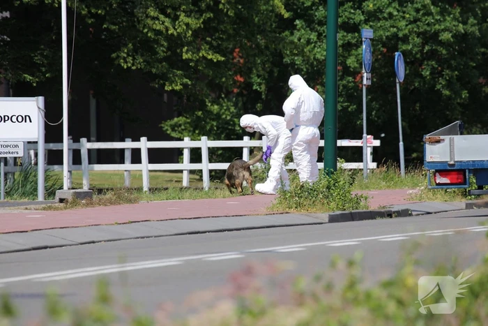 Industrieterrein afgezet voor onderzoek