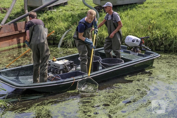 Sloot drooggelegd voor sporenonderzoek dood Savannah