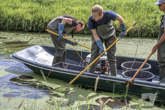 Sloot drooggelegd voor sporenonderzoek dood Savannah