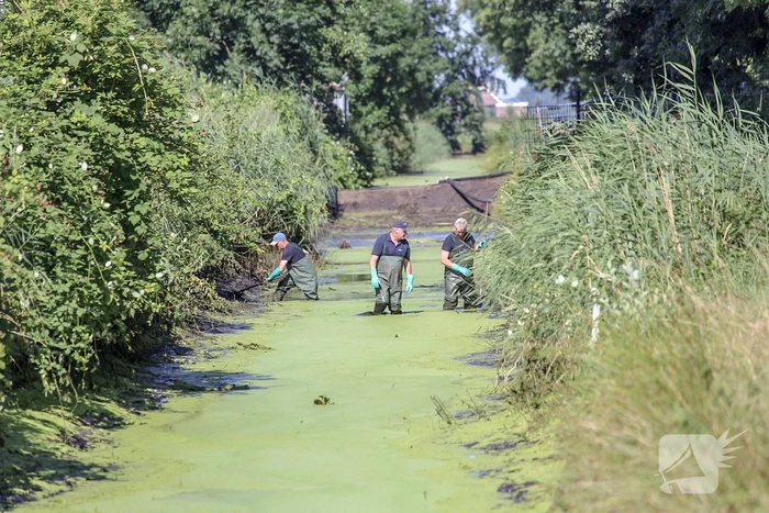 Onderzoek gestart in drooggelegde sloot