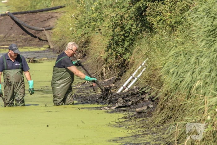 Onderzoek gestart in drooggelegde sloot