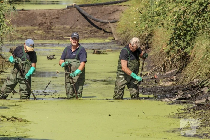 Onderzoek gestart in drooggelegde sloot