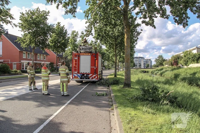 Brandweer verwijdert loshangende takken