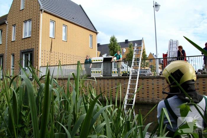 Jonge zwaan vast met dobber en vishaak