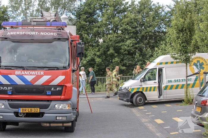 Jonge zwaan vast met dobber en vishaak