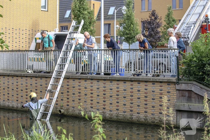 Jonge zwaan vast met dobber en vishaak
