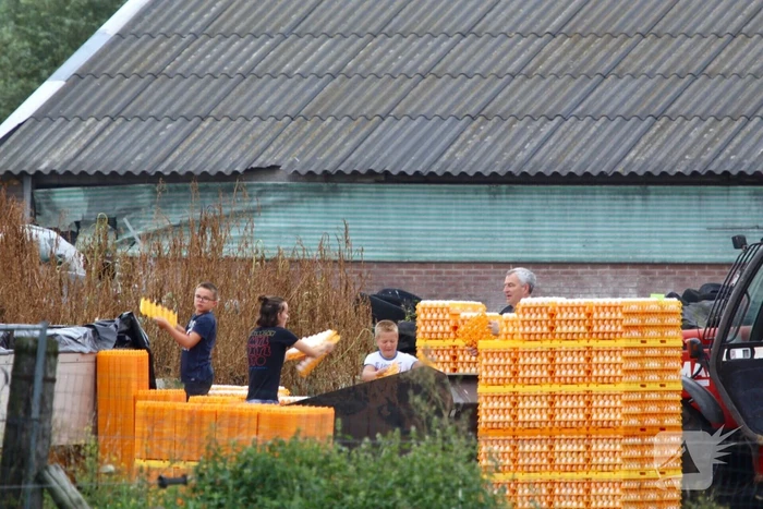 14 kippenboeren met fipronil melden zich