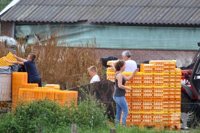 14 kippenboeren met fipronil melden zich