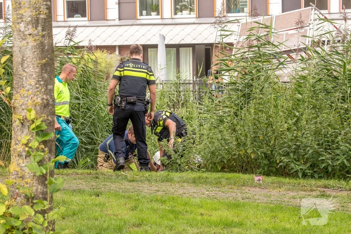 Steiger valt om schilder belandt in water