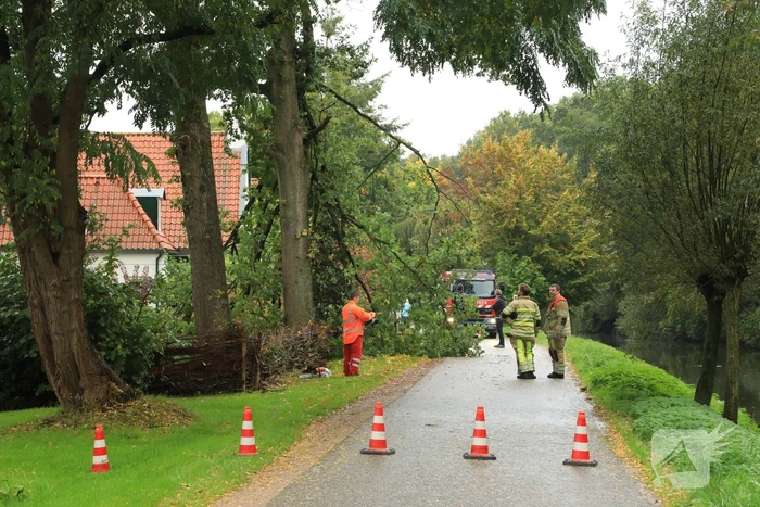 Weg afgesloten door vallende takken
