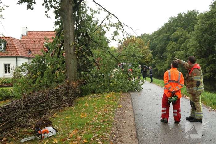 Weg afgesloten door vallende takken