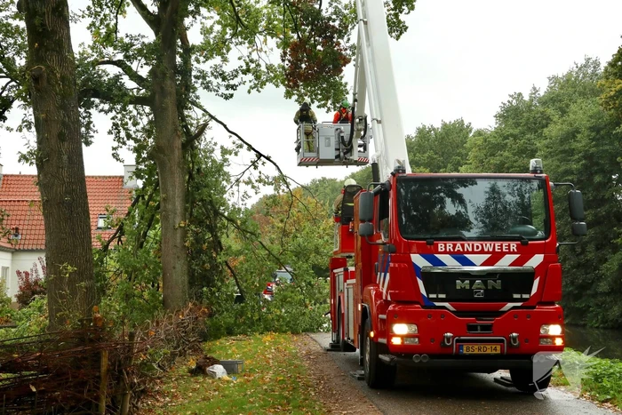 Weg afgesloten door vallende takken