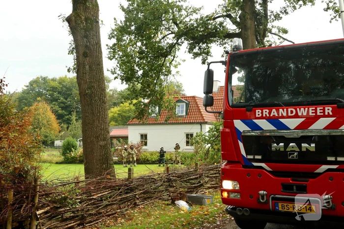 Weg afgesloten door vallende takken