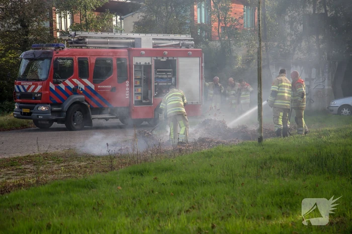 Flinke rook bij bladeren-brand
