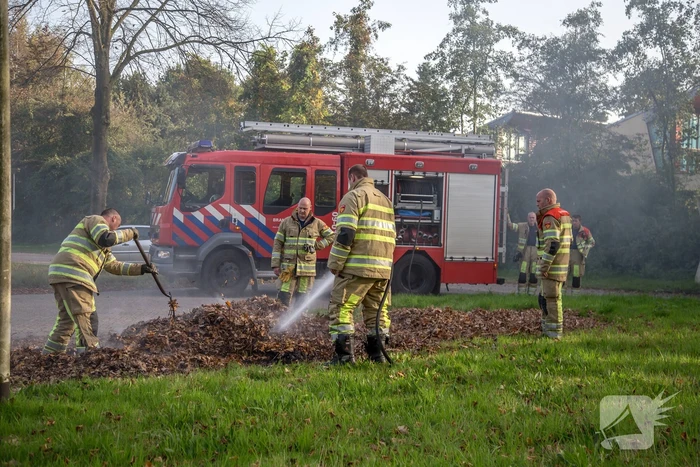 Flinke rook bij bladeren-brand