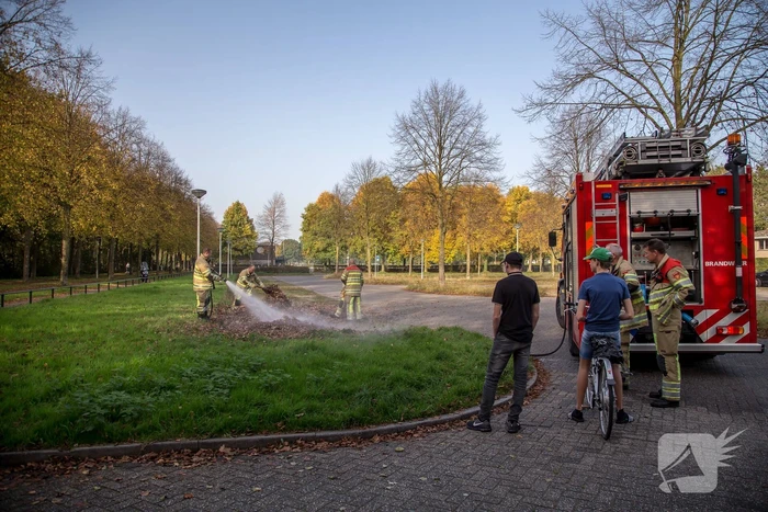 Flinke rook bij bladeren-brand