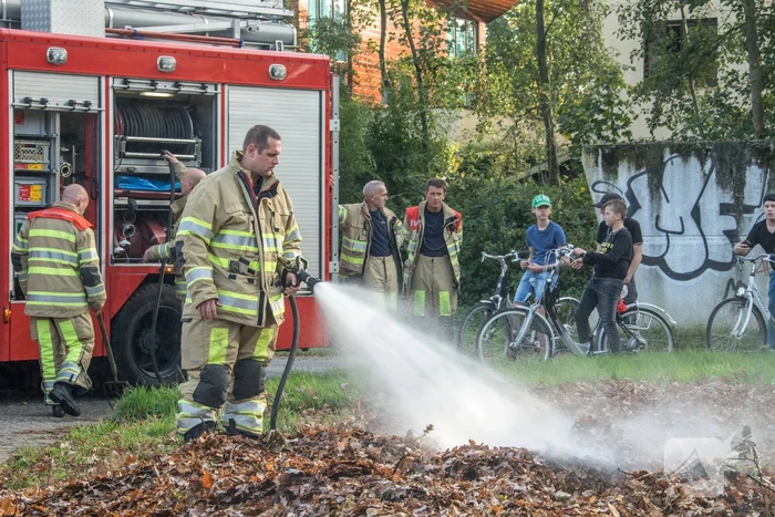 Flinke rook bij bladeren-brand