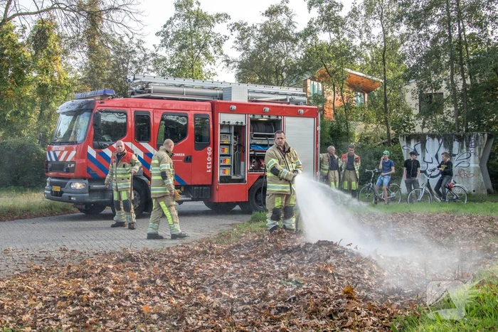 Flinke rook bij bladeren-brand