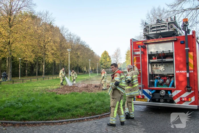 Flinke rook bij bladeren-brand