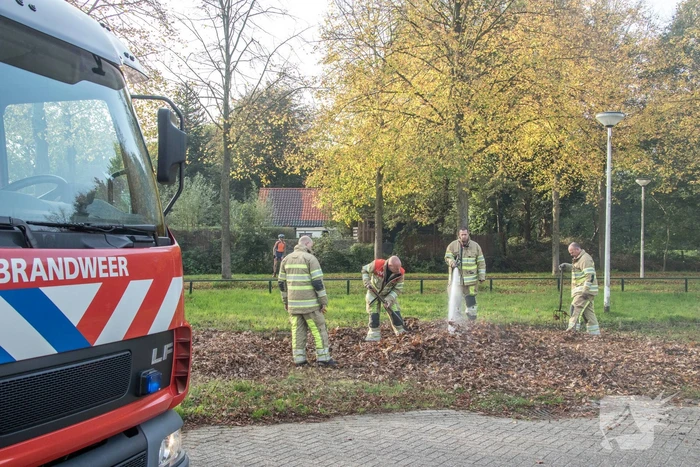 Flinke rook bij bladeren-brand