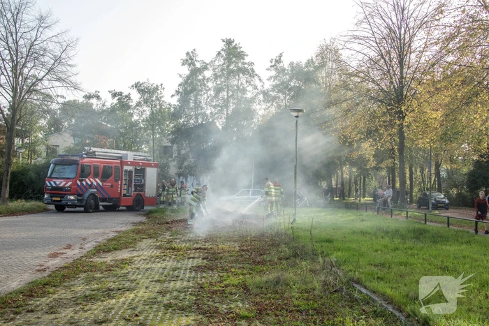 Flinke rook bij bladeren-brand