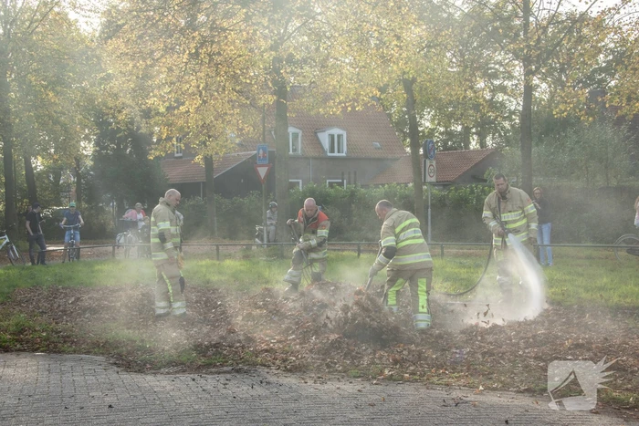 Flinke rook bij bladeren-brand