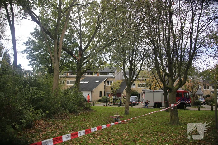 Deel van boom breekt af na storm